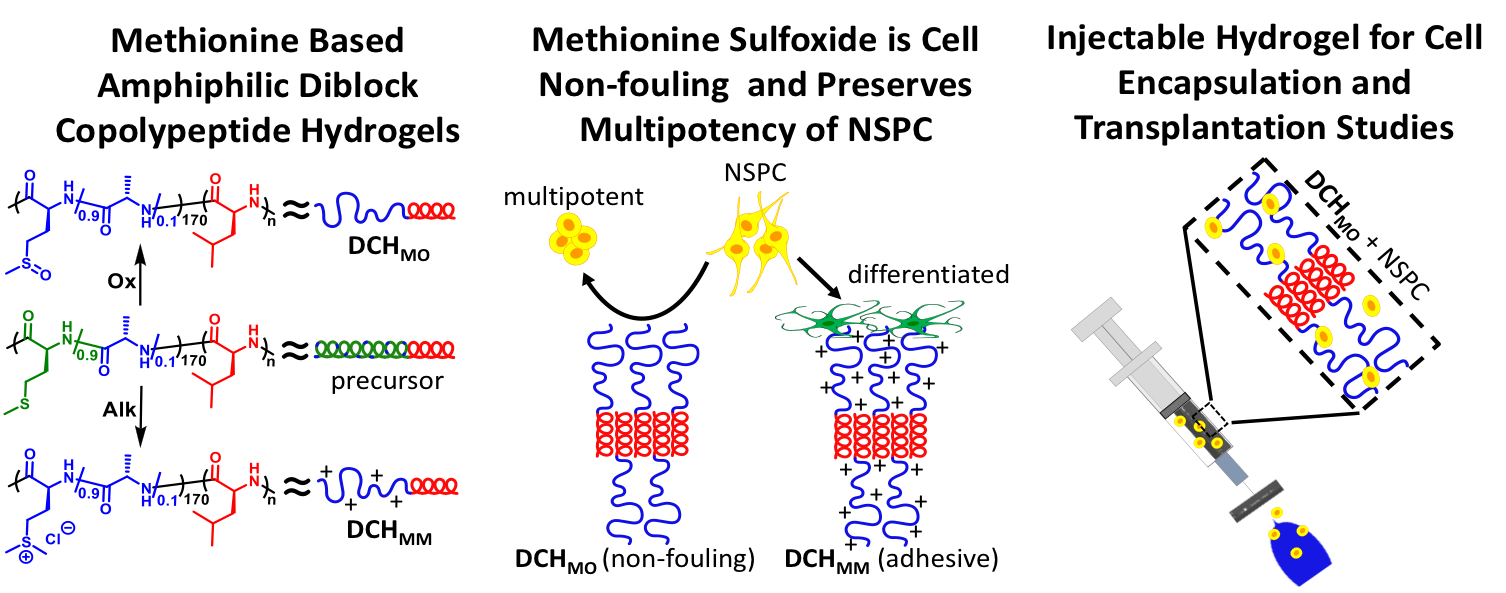 MOXhydrogel.png