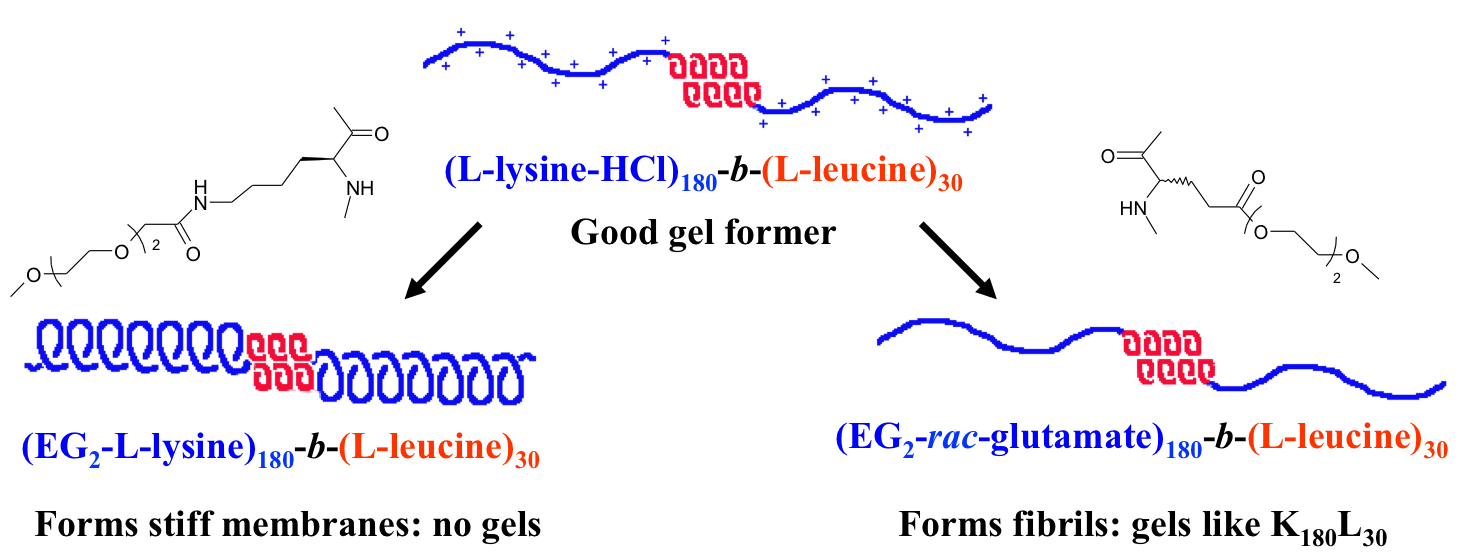 nonionichydrogels.png